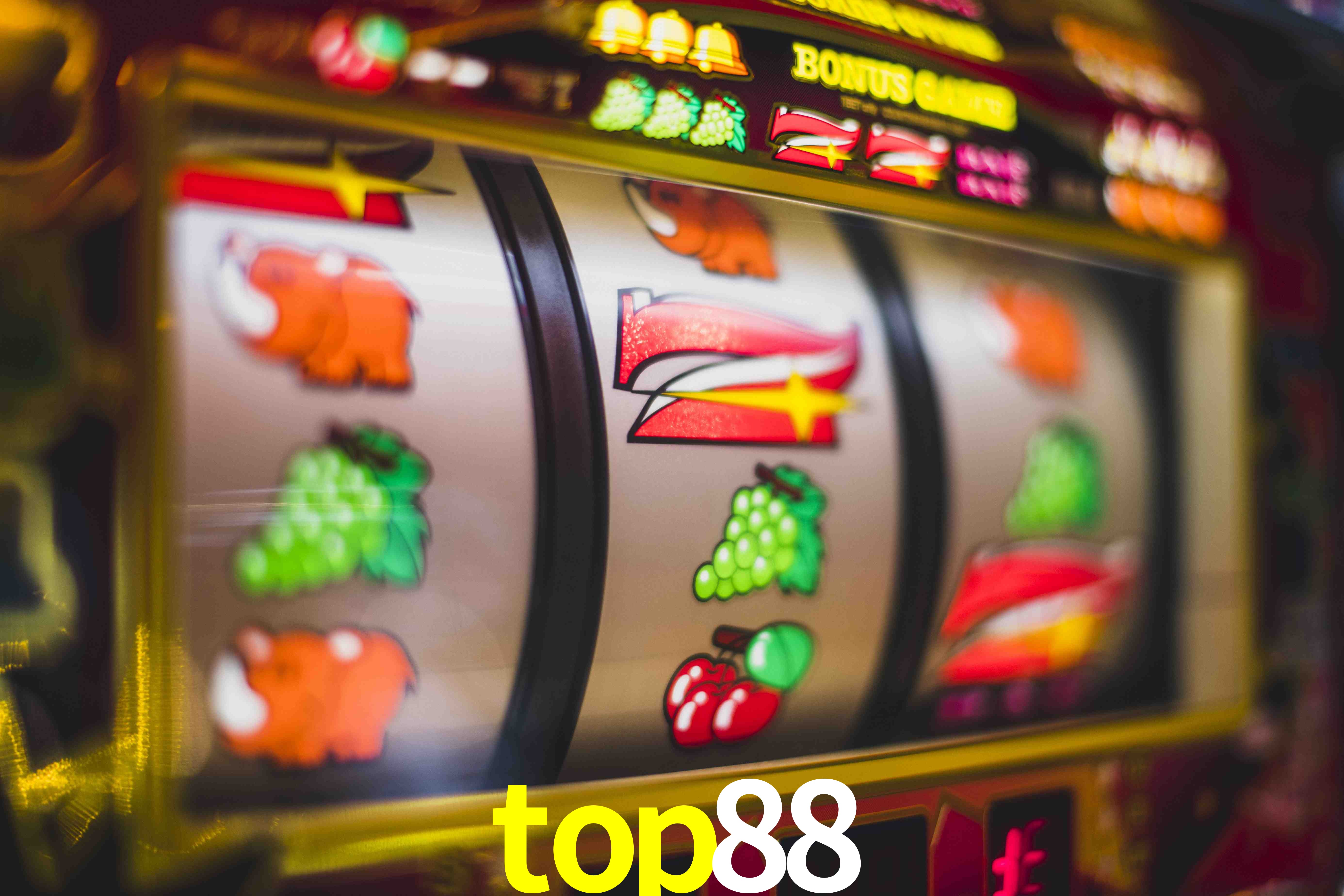 Sports Statistics top88